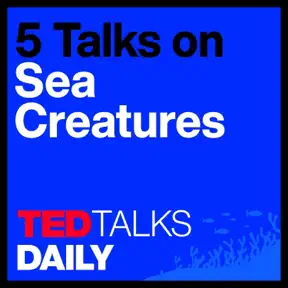 The Mystery of Sea Creatures (3/5): Could an orca give a TED Talk? | Karen Bakker artwork