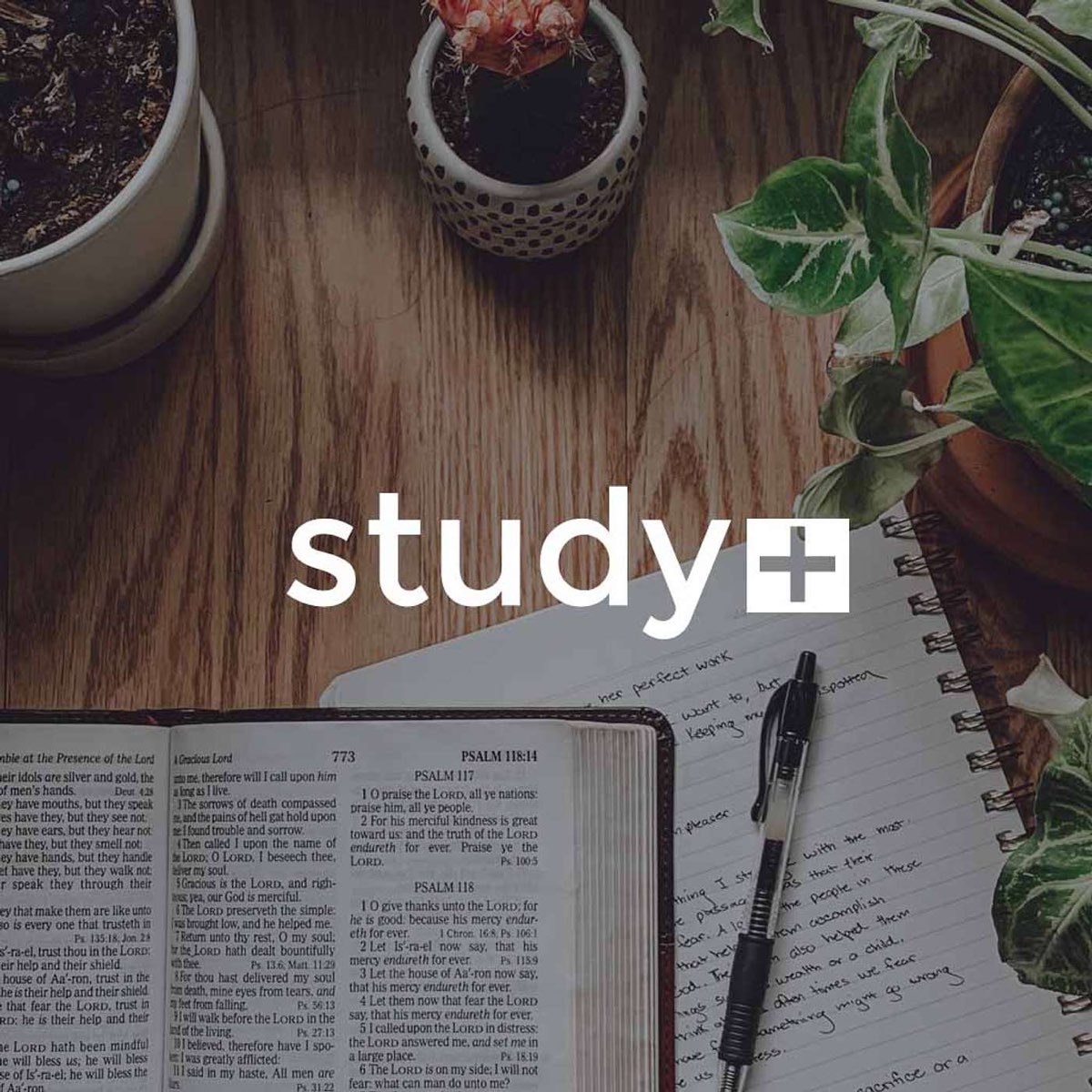 Study+ Podcast - Apple Podcasts
