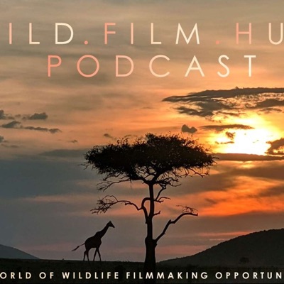 Wild Film Hub