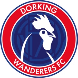 Dorking Wanderers FC