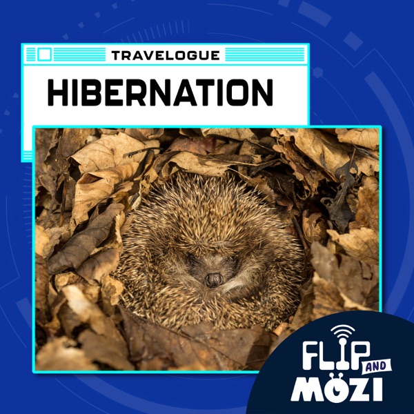 Travelpod: Hibernation (11/24/22) photo