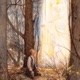 Come, Follow Me—For Home and Church: Doctrine and Covenants 2025