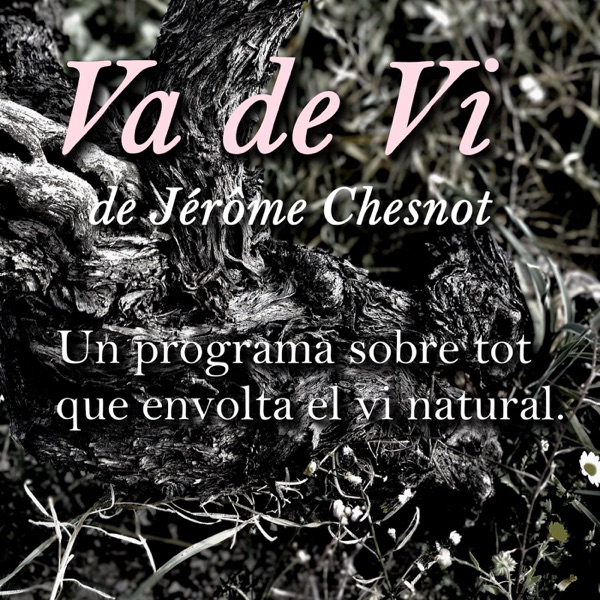 Va de Vi