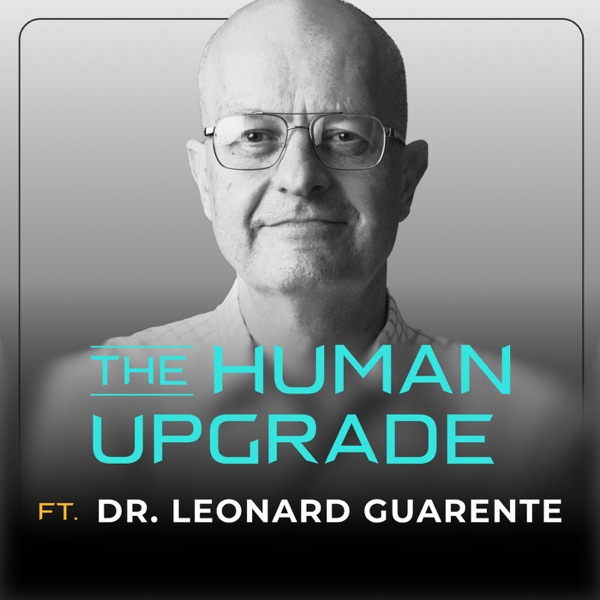 PhD at MIT: The Longevity Molecule That Reverses Aging (250 Studies)