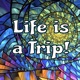 Life is a Trip! Reincarnation and Afterlife Stories