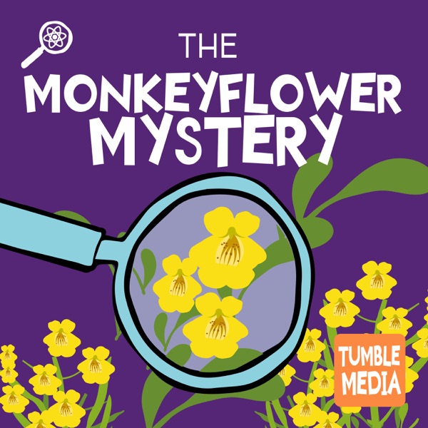 The Monkeyflower Mystery photo