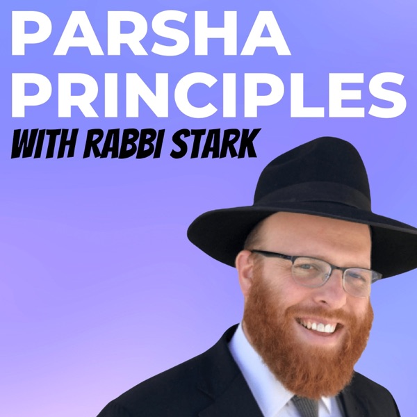 Baal Teshuvah vs Tzadik Yesod Olam (Vayeshev) photo