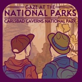 138- Lower Cave Tour: Carlsbad Caverns National Park