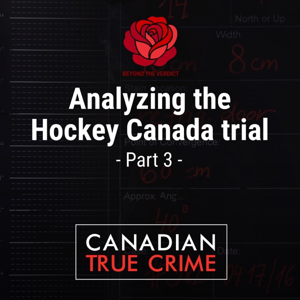Analyzing the Hockey Canada trial [3] photo