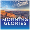 Morning Glories - Bob Ravenscroft