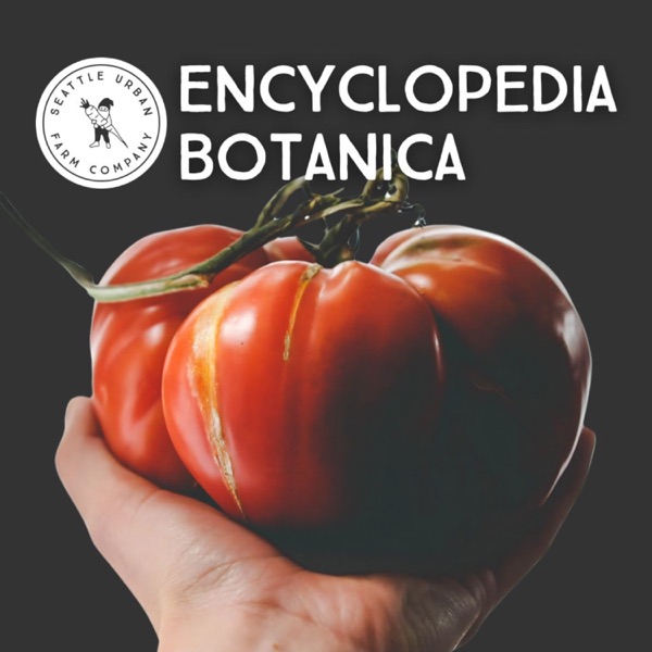 Encyclopedia Botanica image