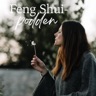Feng Shui-podden