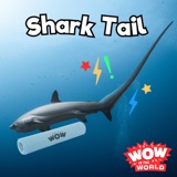 Shark Tail (4/29/24)