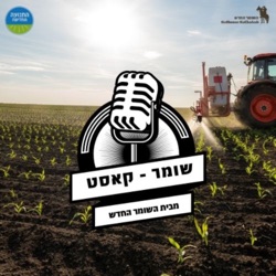 פרק 6: עינט קרמר, המנהלת החינוכית של ארגון השומר החדש