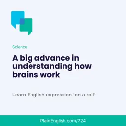 Scientists map a fly's entire brain (On a roll)