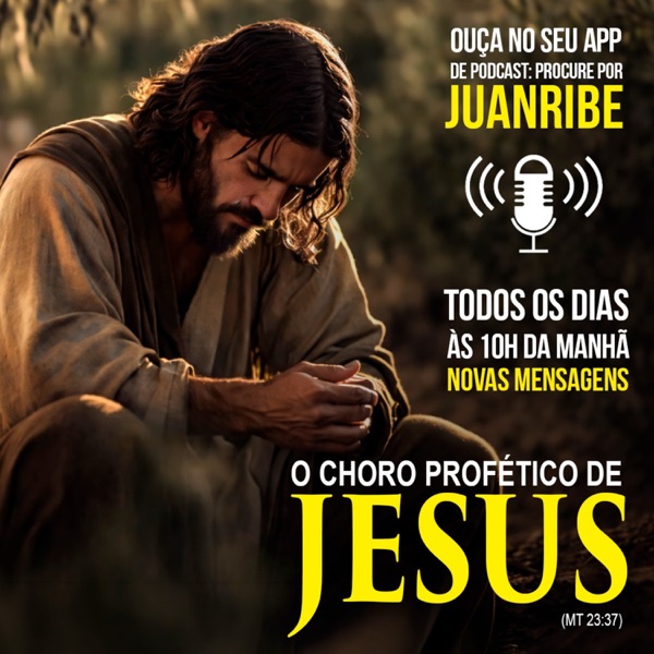 O Choro Profético de Jesus (Mt 23 37) photo