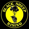 Black Sheep Rising artwork