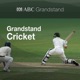 Grandstand At Stumps: Fifth Ashes Test, Day Four