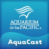 Aquarium of the Pacific AquaCast:Aquarium of the Pacific