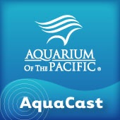 Aquarium of the Pacific AquaCast