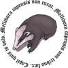 First Montana Orthodox Podcast of the Honey Badger artwork