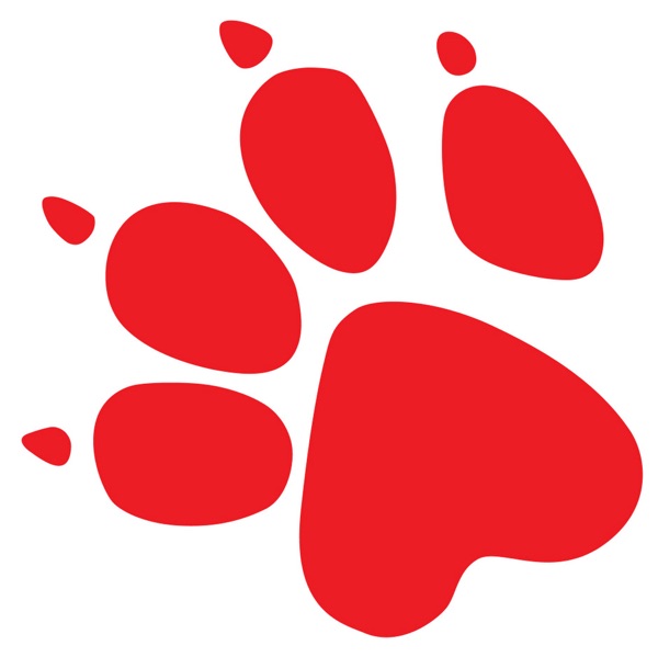 Naughty Dog: Dogcast