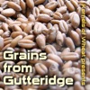 Grains from Gutteridge Podcast artwork