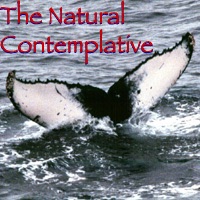 Natural Contemplative Podcast