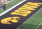 12 SATURDAYS