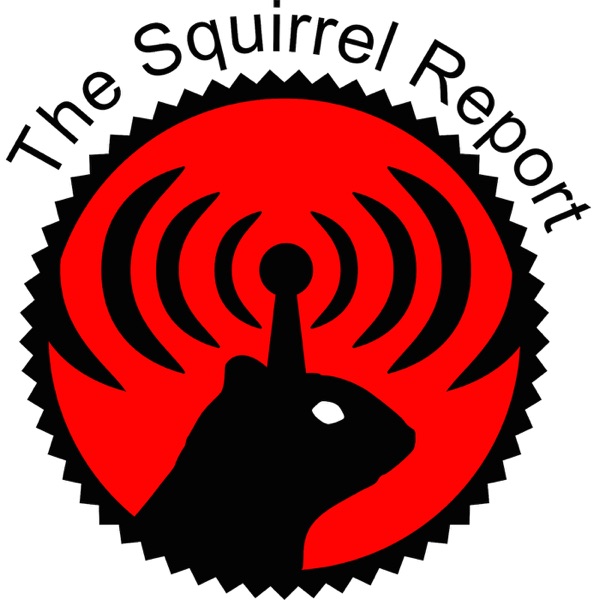 The Squirrel Report