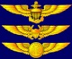 Naval Air