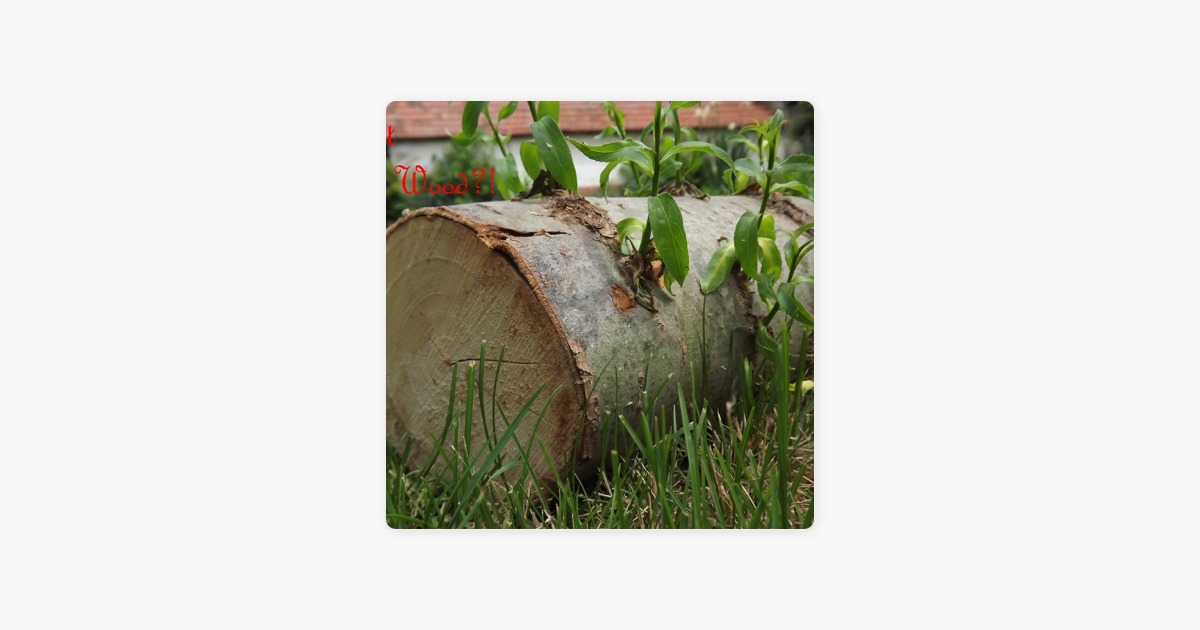 Got Wood Comedy Podcast On Apple Podcasts got-wood-comedy-podcast-on-apple-podcasts