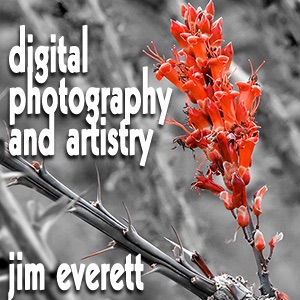 Digital Photography and Artistry