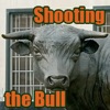 Shooting The Bull artwork