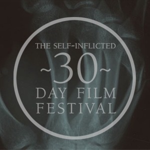 The 30 Day Film Festival