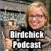 Birdchick Podcast artwork