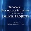 Free Project Management Videos from Andy Kaufman, PMP artwork