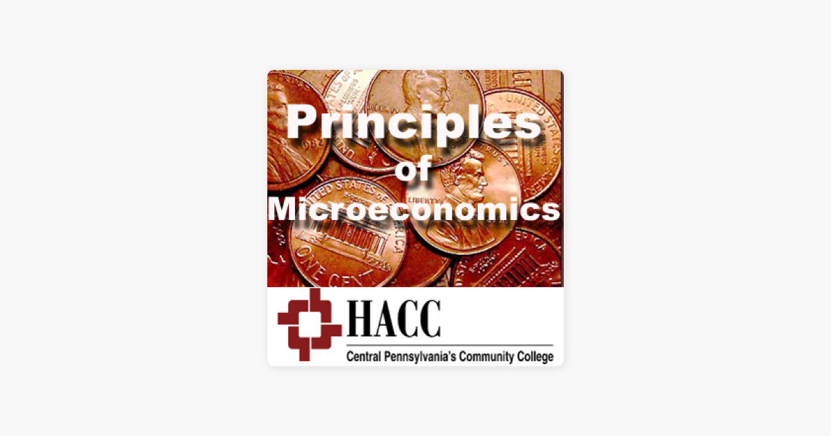 The Basic Principles Of Microeconomics