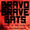 Bravo Brave Bats - A Year in the Life artwork