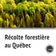 1.1 Forêt résineuse