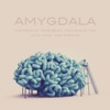 Amygdala Magazine artwork