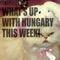 What's up with Hungary