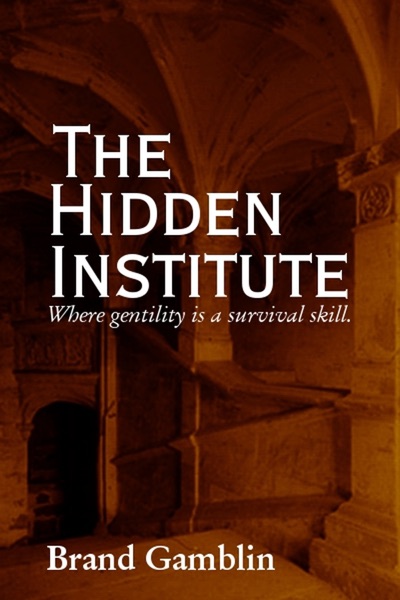 The Hidden Institute