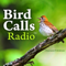 BirdCallsRadio