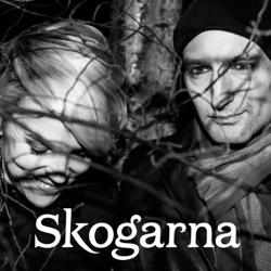 Skogarna