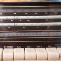 Station to Station with Joe Pavia