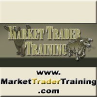 Market Trader Training | Investing in Stocks | Options | FOREX | Commodities| Investor podcast