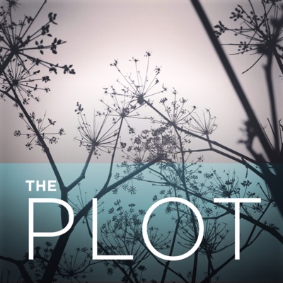 The Plot