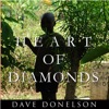 Heart Of Diamonds artwork