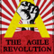 The Agile Revolution